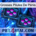 Grosses Pilules De Pénis 03